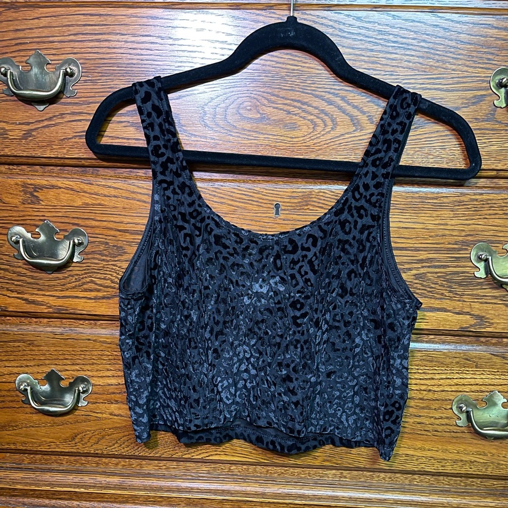 Express Velvet Semi-sheer Crop Tank Bundle